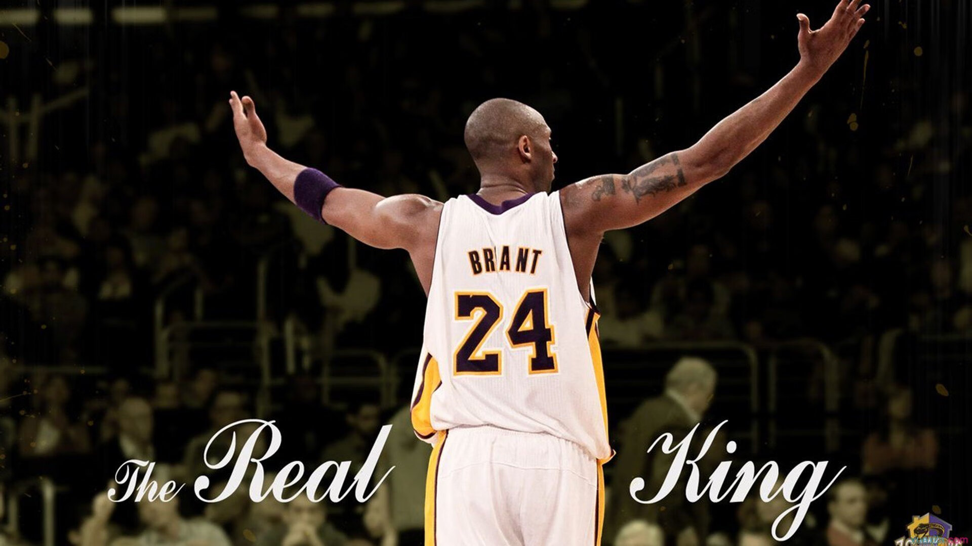 赛尔·阿尔斯塔的全面防守技艺,让南非队攻防两端完美平衡,阿尔塞斯国王怎么打