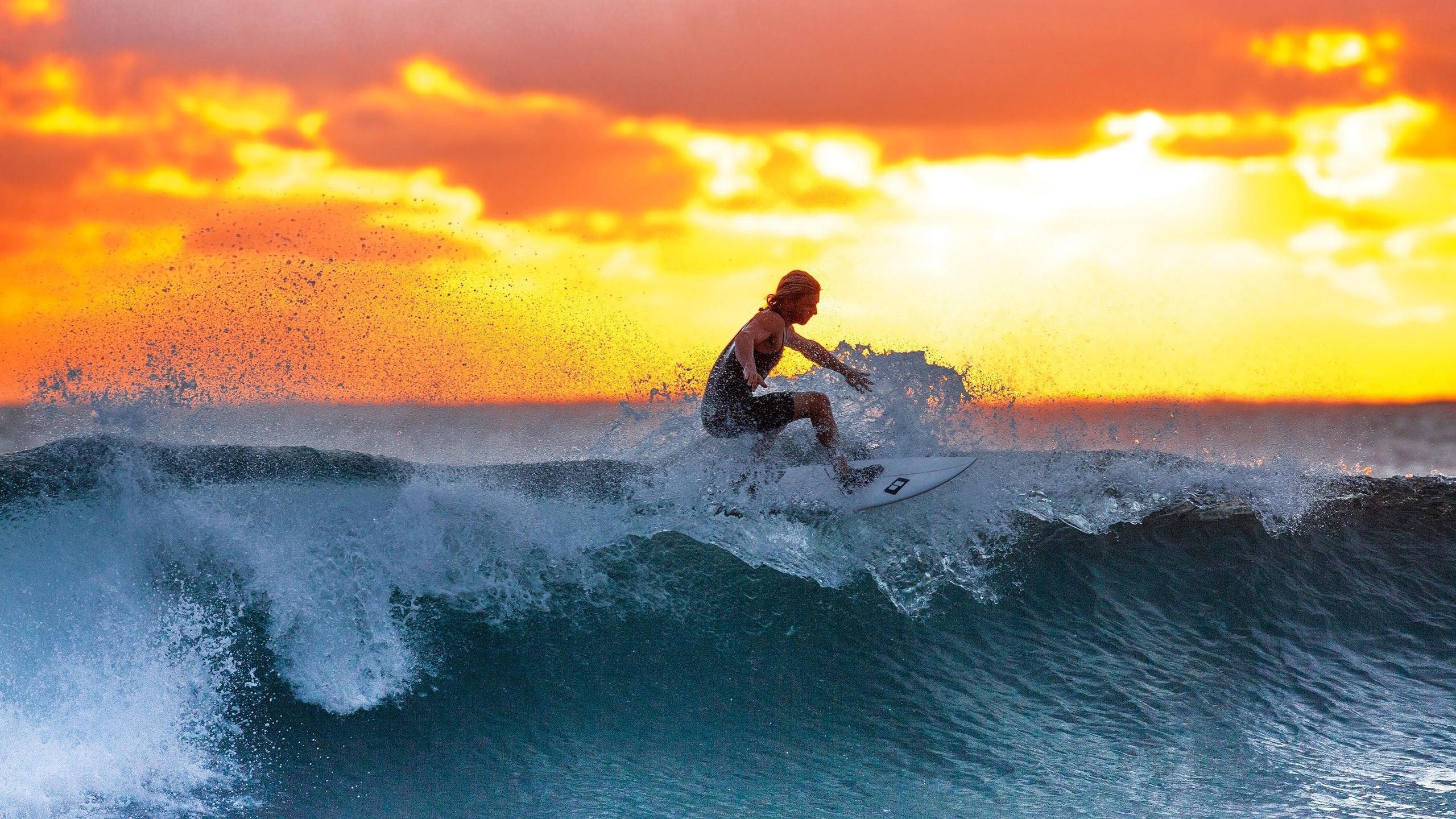 2026年滑板城市站赛事志愿者成长档案第56版上线,滑板职业比赛